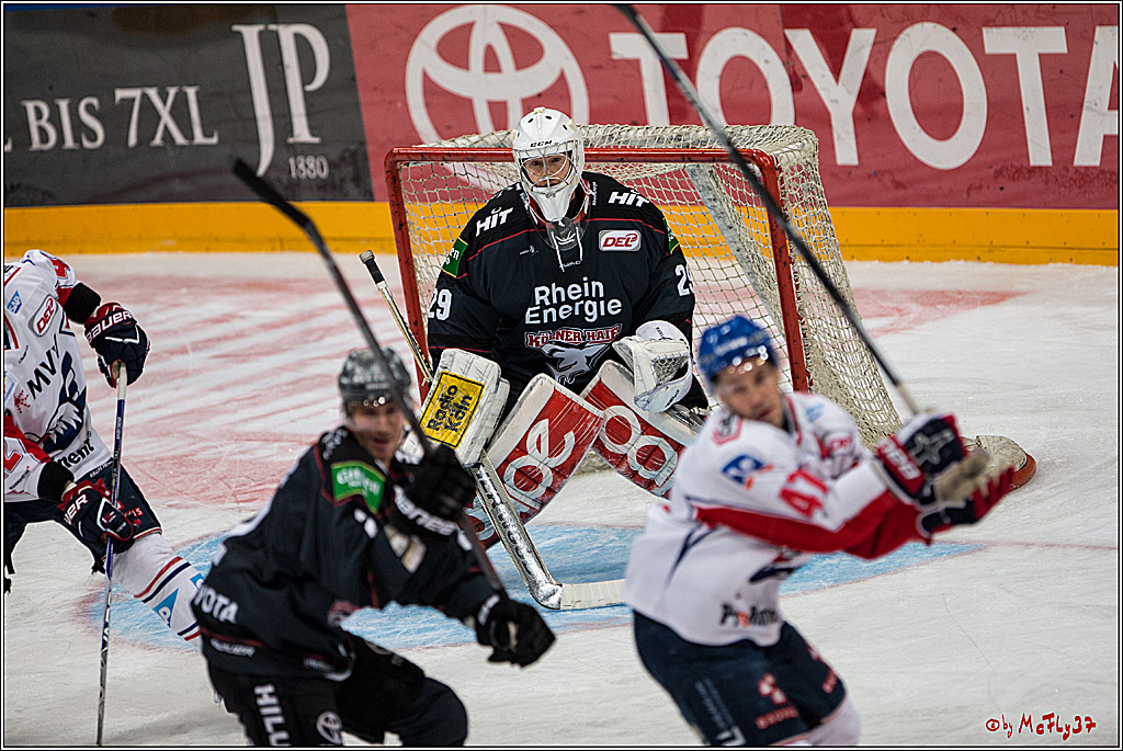 DEL, Koelner Haie - Adler Mannheim, 05.02.2017